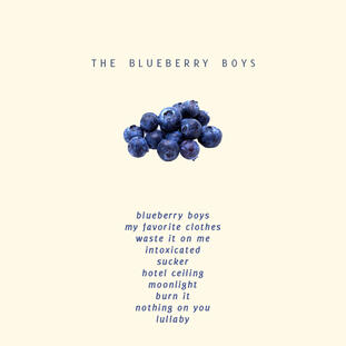 The Boys of Blueberries